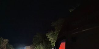 Casal morre ao tentar desviar de bezerro e ser atropelado por caminhão na Estrada da Guia