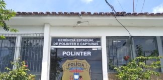 A Polícia Civil deteve um foragido no sul de Mato Grosso, que responde a um duplo homicídio no Amazonas