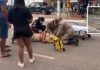 A Polícia Militar apreendeu um adolescente de 16 anos após atropelar uma mulher na faixa de pedestre no estado de Mato Grosso