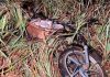 Motociclista de 21 anos morreu depois de ser atropelado e arrastado por uma caminhonete S-10 na BR-364, em Mato Grosso