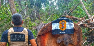 A Polícia Civil desarticula um ponto usado por criminosos para a exploração ilegal de madeira em Mato Grosso