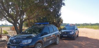 Uma mulher foi presa em flagrante por envolvimento no homicídio de dois jovens em Mato Grosso; uma cabeça decapitada foi encontrada