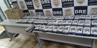 A Polícia Civil apreendeu 100 quilos de cocaína transportadas em um caminhão de carga