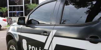 A Polícia Civil recuperou filhotes de cães em situação de maus-tratos em Mato Grosso