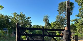 Um homem que foi condenado por homicídio em Mato Grosso do Sul foi preso pela Polícia Civil na zona rural de Alto Araguaia