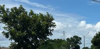 A Polícia Civil prendeu o autor de um homicídio a facadas em Mato Grosso