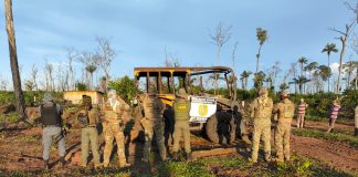A Operação Mata Virgem tem como objetivo combater o desmatamento ilegal na região norte do estado de Mato Grosso