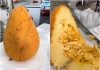 Uma enorme coxinha de 1kg se tornou uma atração em uma lanchonete tradicional do Centro Histórico de Cuiabá