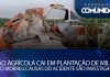 Avião agrícola cai em plantação de milho – Piloto morreu; causas do acidente são investigadas