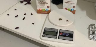 A Polícia Federal está investigando se um grupo envolvido no tráfico de cocaína atuava em Mato Grosso