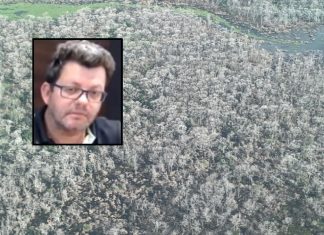 O Ministério Público apontou a periculosidade, o risco ao meio ambiente e o pedido de prisão do pecuarista que desmatou mais de 85 mil hectares do Pantana