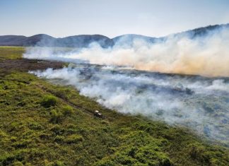 O estudo revela o Pantanal como o bioma mais afetado pelos incêndios em 39 anos