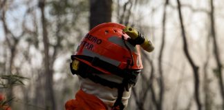 Bombeiros combatem incêndios em área de mata na cidade de cuiabá; três veículos estão em ação