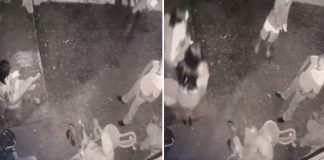 Empresário é morto a tiros na frente de amigos em boate; veja vídeo