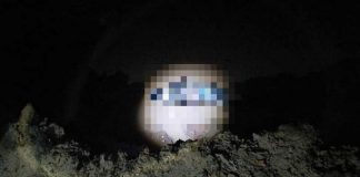 Cadáver de homem foi encontrado com pés e mãos amarrados em córrego em MT