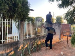 Líderes presos davam ordens de invasão às agências bancárias por meio de chamadas telefônicas; veja