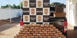 A Polícia Civil encontrou 210 tabletes de maconha em uma caminhonete na MT-010