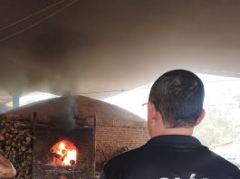 Polícia Civil incinera quase 150 quilos de cloridrato de cocaína em Mato Grosso