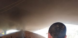 Polícia Civil incinera quase 150 quilos de cloridrato de cocaína em Mato Grosso