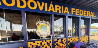 Jovem de 22 anos é preso transportando mais de 700 kg de maconha em veículo furtado; veja vídeo