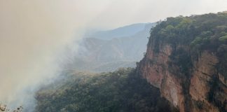 Após incêndio, uma fumaça tomou conta de um parque de Chapada dos Guimarães; Confira os vídeos