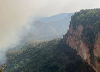 Após incêndio, uma fumaça tomou conta de um parque de Chapada dos Guimarães; Confira os vídeos