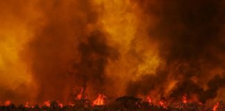 Com um efetivo de 124 homens e o apoio de três aviões, os Bombeiros combateram 18 incêndios em Mato Grosso