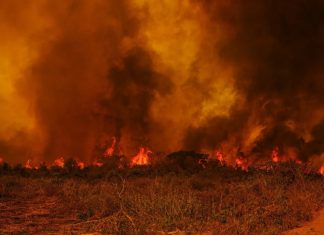 Com um efetivo de 124 homens e o apoio de três aviões, os Bombeiros combateram 18 incêndios em Mato Grosso