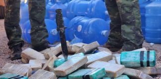 As apreensões de drogas cresceram 18% no primeiro semestre deste ano; o prejuízo causado pelo crime foi de R$ 251 milhões.