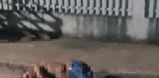Um homem é morto a tiros na cabeça; o corpo foi encontrado caído na rua em MT