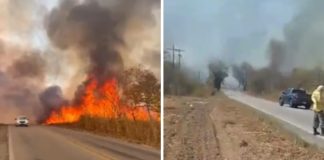 Incêndio de grande magnitude atinge vegetação na estrada de Chapada dos Guimarães; veja vídeo