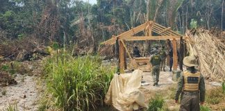 Um homem foi preso em uma operação de combate a crimes ambientais na Reserva de Guariba, em MT