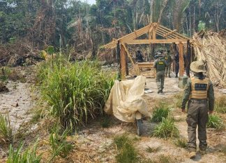 Um homem foi preso em uma operação de combate a crimes ambientais na Reserva de Guariba, em MT