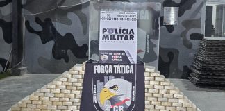 As forças de segurança apreenderam 814 quilos de entorpecentes e causaram um prejuízo de R$ 14 milhões ao crime