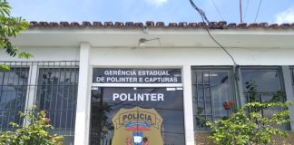 Um estelionatário, investigado por aplicar golpes em diversas cidades do país, foi preso pela Polícia Civil