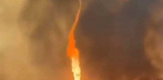 Incêndios criaram um redemoinho de fogo em uma região com 11 mil hectares destruídos; veja vídeo