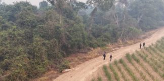 Quatro suspeitos foram presos por morte e ocultação de cadáver de jovem desaparecido em MT