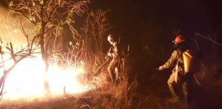 Cadáver de um jovem de 26 anos foi encontrado carbonizado na região do Manso