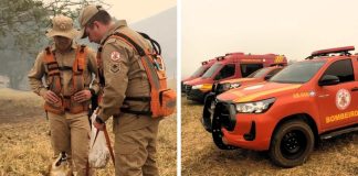 Os bombeiros empregam cães de busca para localizar um jovem que desapareceu após caçar em uma mata de MT