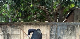A Polícia Civil cumpre mandados contra uma organização criminosa envolvida em assassinatos em Mato Grosso