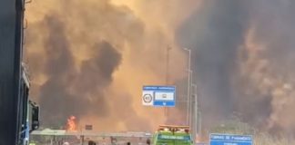Em Mato Grosso, incêndios nas margens da BR-364 deixam pistas bloqueadas; Confira o vídeo
