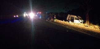 Um homem morreu depois de colidir o carro com capivaras e acertar árvores na rodovia MT-358