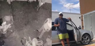 Um adolescente foi apreendido pelo envolvimento no assassinato do dono de boate em MT