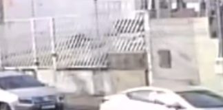 Cirurgião-dentista viralizou depois de perder R$ 1 mil e registrar vídeo em que um motoboy recolhe notas que voaram