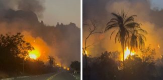 Um incêndio que atingiu uma estrada da Chapada chega a dez metros de altura
