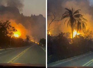 Um incêndio que atingiu uma estrada da Chapada chega a dez metros de altura