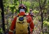 Bombeiros combatem incêndios no Parque Encontro das Águas e em fazendas do Pantanal