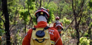 Bombeiros combatem incêndios no Parque Encontro das Águas e em fazendas do Pantanal