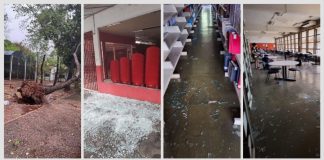 Temporais deixam bairros de Cuiabá e VG sem energia elétrica; há registro de queda de árvores. Veja o vídeo