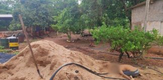 Um adolescente de 16 anos matou o padrasto a pauladas para proteger a mãe e as irmãs em MT